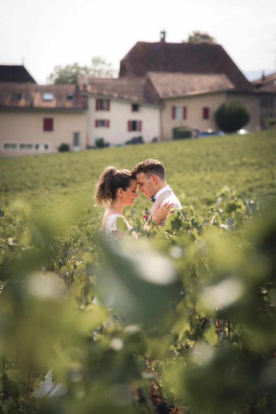 Photo de couple dans les vignes en signe.